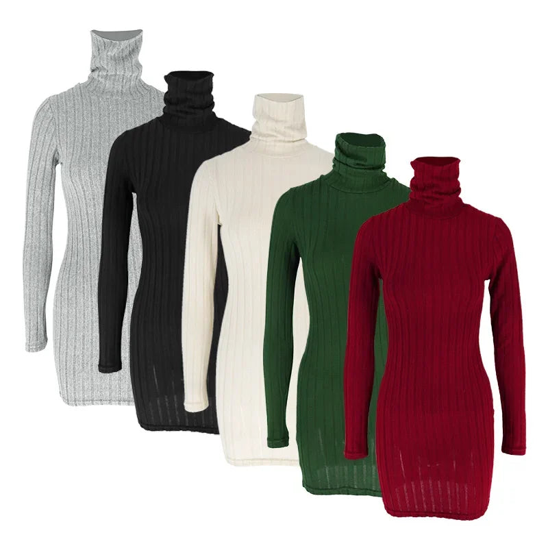 Robe Moulante Col Roulé Tricotée Manches Longues Mini