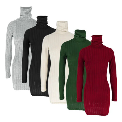 Robe Moulante Col Roulé Tricotée Manches Longues Mini