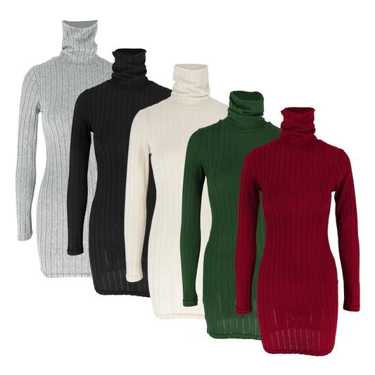 Robe Moulante Col Roulé Tricotée Manches Longues Mini