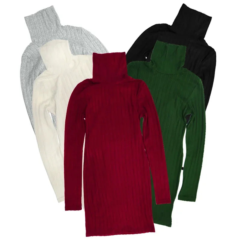 Robe Moulante Col Roulé Tricotée Manches Longues Mini