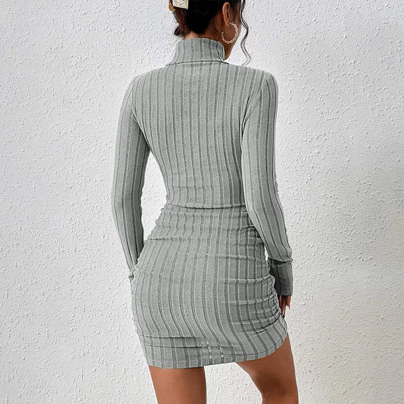 Robe Moulante Col Roulé Tricotée Manches Longues Mini