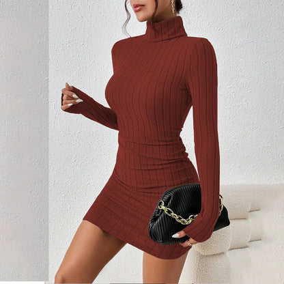 Robe Pull Col Roulé Maille Slim Manches Longues Mini